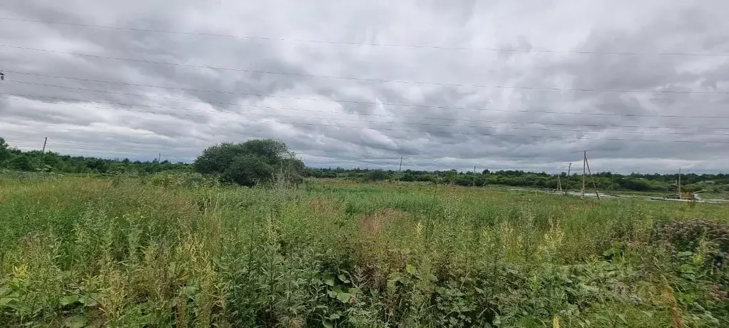 Участок в Сахалинская область, Анивский городской округ, с. Мицулевка  ... - Фото 0