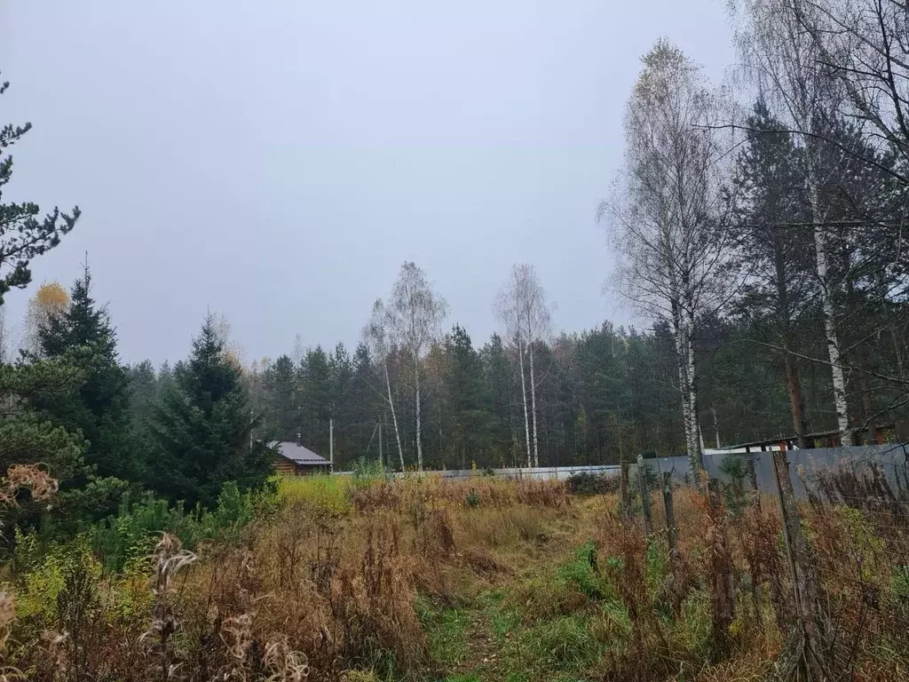 Участок в Московская область, Орехово-Зуевский городской округ, д. ... - Фото 2