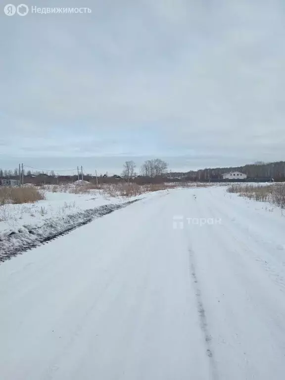 Участок в Сосновский район, Краснопольское сельское поселение, деревня ... - Фото 1