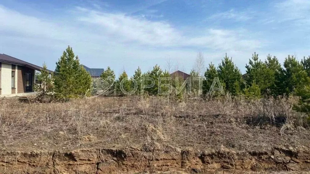 Участок в Тюменская область, Тюменский муниципальный округ, с. Успенка ... - Фото 2