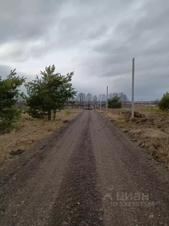 Участок в Московская область, Раменское ул. Сергия Радонежского (9.87 ... - Фото 2