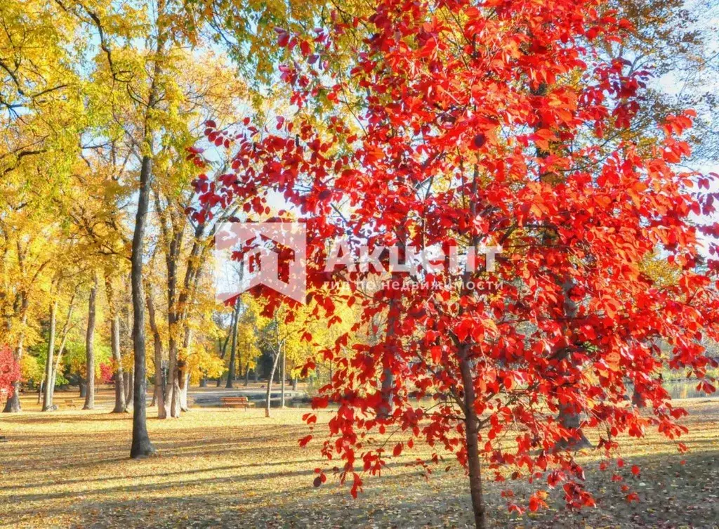 3-к кв. Ивановская область, Иваново ул. 1-я Талицкая, 3 (47.0 м) - Фото 1