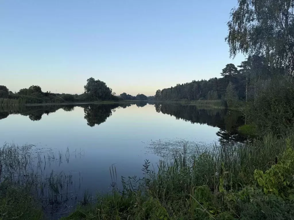 Участок в Московская область, Ступино городской округ, Эко Берег кп 21 ... - Фото 1