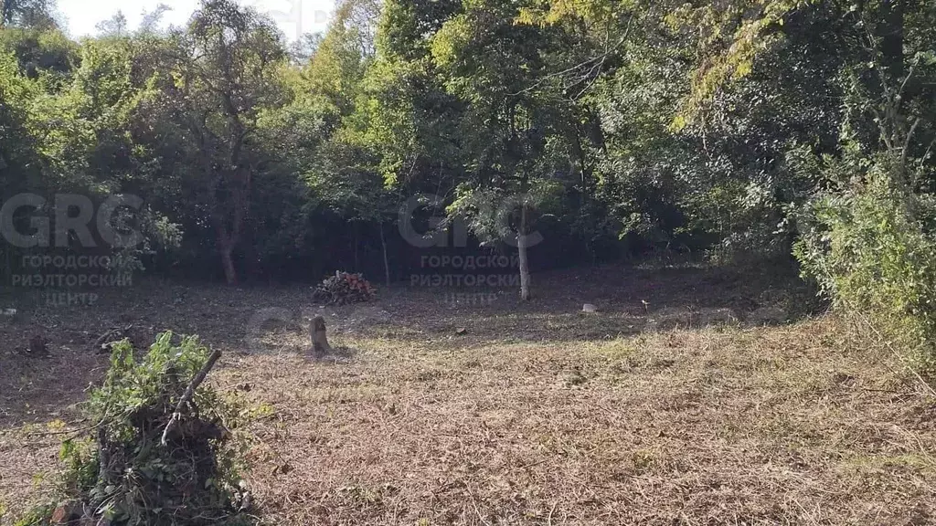 Участок в Краснодарский край, Сочи Приморье мкр, ул. Есауленко, 12/2 ... - Фото 2