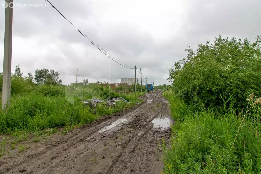 Участок в Тюмень, садоводческое некоммерческое товарищество ... - Фото 2