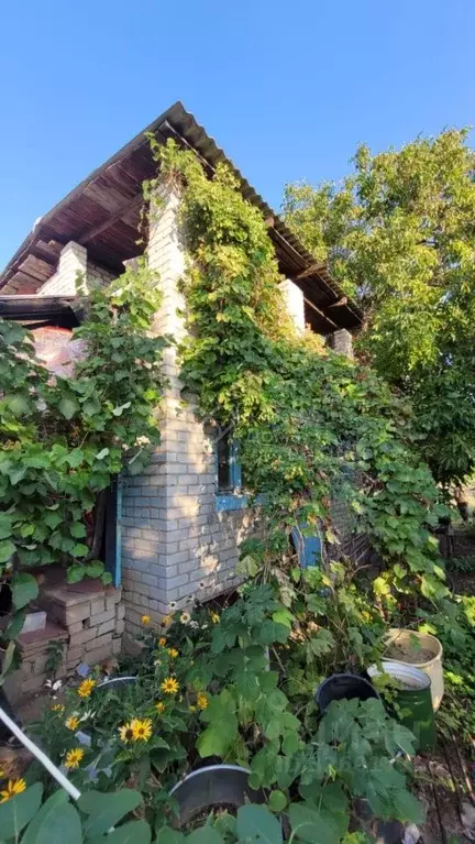 Участок в Волгоградская область, Дубовский район, Пичужинское с/пос, ... - Фото 1