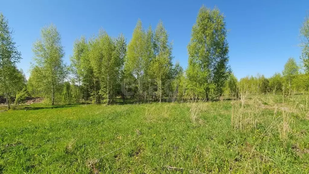 Участок в Кемеровская область, Кемеровский район, д. Солонечная, ... - Фото 1