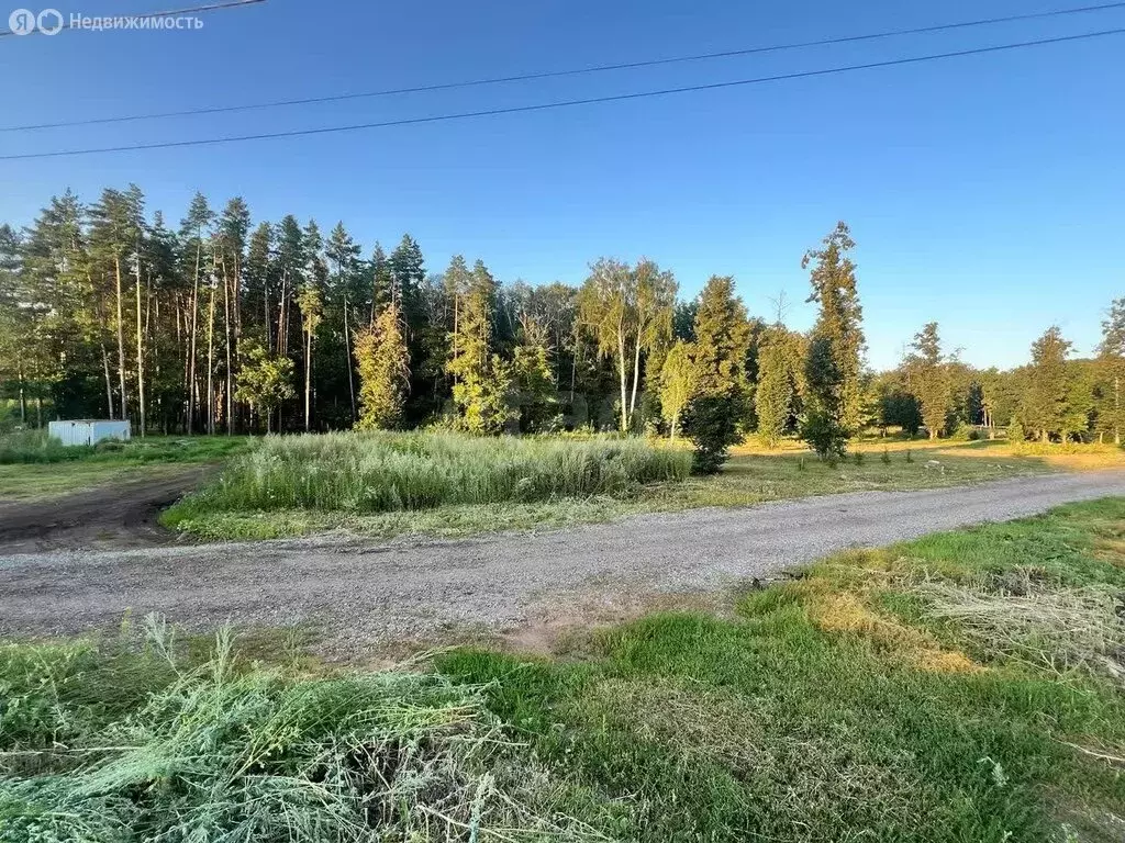 Участок в Наумовский сельсовет, СНТ Лесное (7 м) - Фото 2