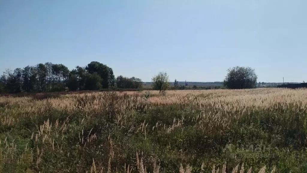 Участок в Московская область, Можайский муниципальный округ, д. Холм  ... - Фото 2