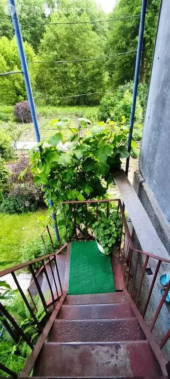 Дом в Лискинский район, Высокинское сельское поселение, хутор ... - Фото 1