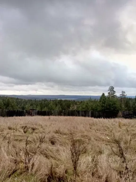 Участок в Иркутская область, Усть-Илимский муниципальный округ, ... - Фото 1