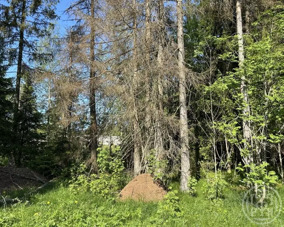 Участок в Ленинградская область, Выборгский район, Первомайское с/пос, ... - Фото 1