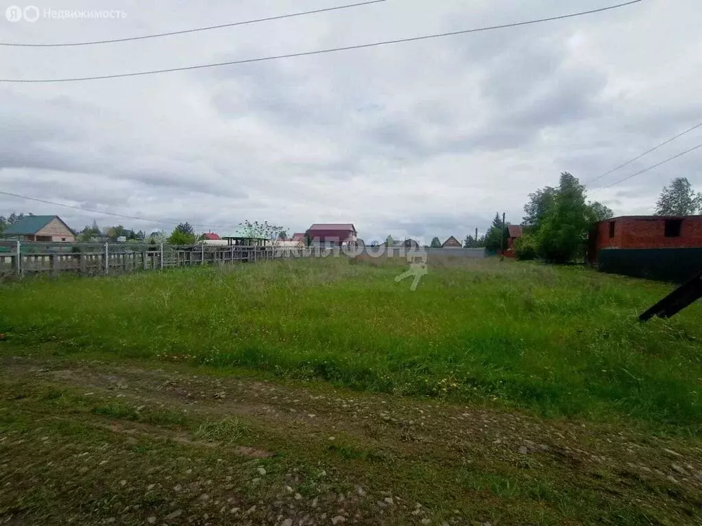 Участок в Новосибирский район, село Ярково (10.5 м) - Фото 1