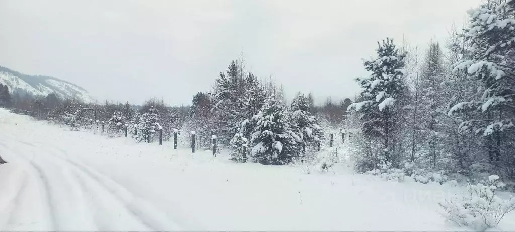 Участок в Иркутская область, Иркутский муниципальный округ, с. Малое ... - Фото 0