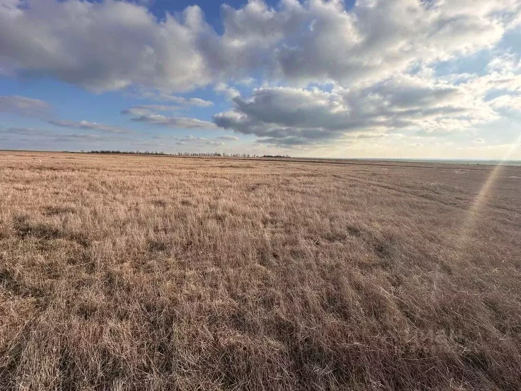 Участок в Крым, Ленинский район, Семисотское с/пос, с. Каменское  (6.0 ... - Фото 1