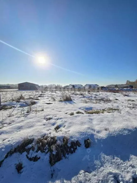 Участок в Новосибирская область, Новосибирский район, Криводановский ... - Фото 2