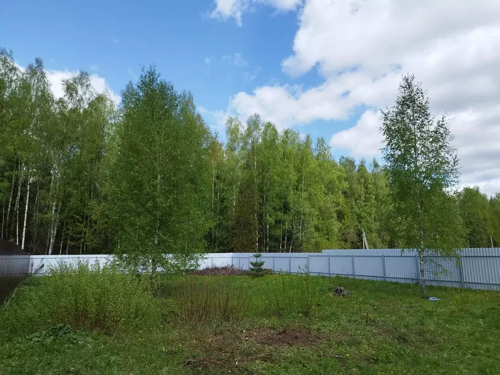 Продается участок в пос. Огудневского лесничества - Фото 2