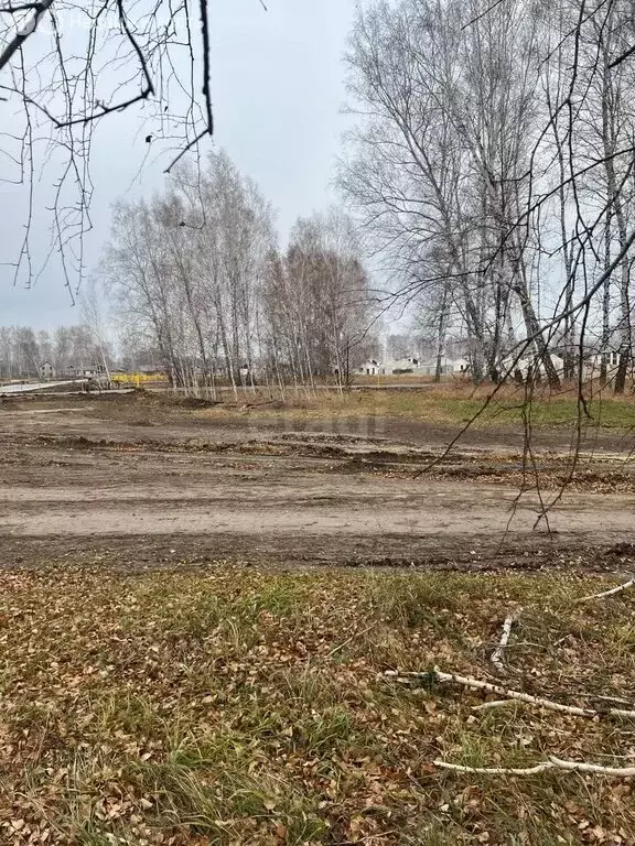 Участок в Новосибирский район, Верх-Тулинский сельсовет, ... - Фото 2