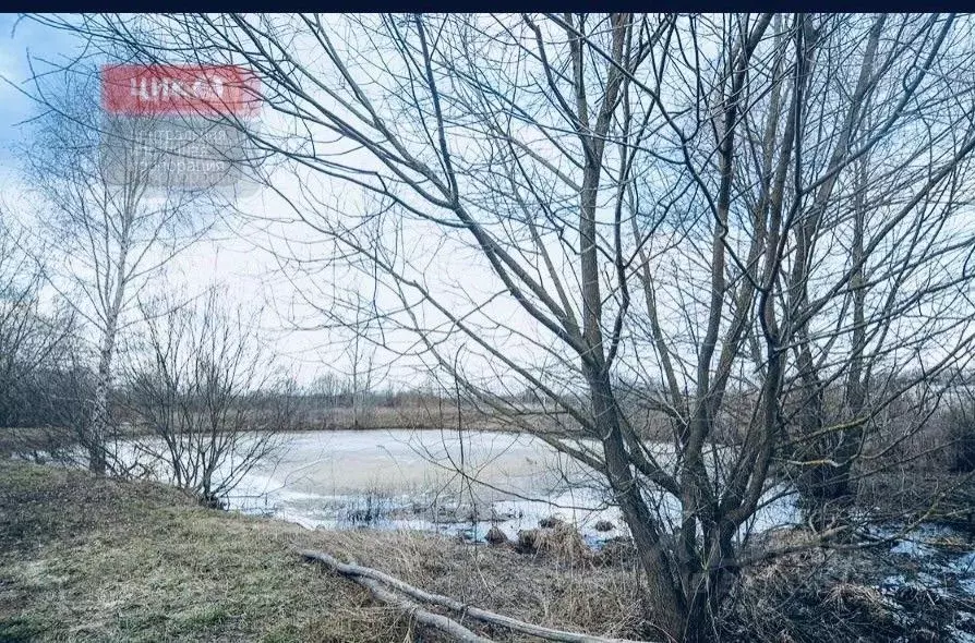 Дом в Рязанская область, Рязанский муниципальный округ, с. Заборье ул. ... - Фото 2