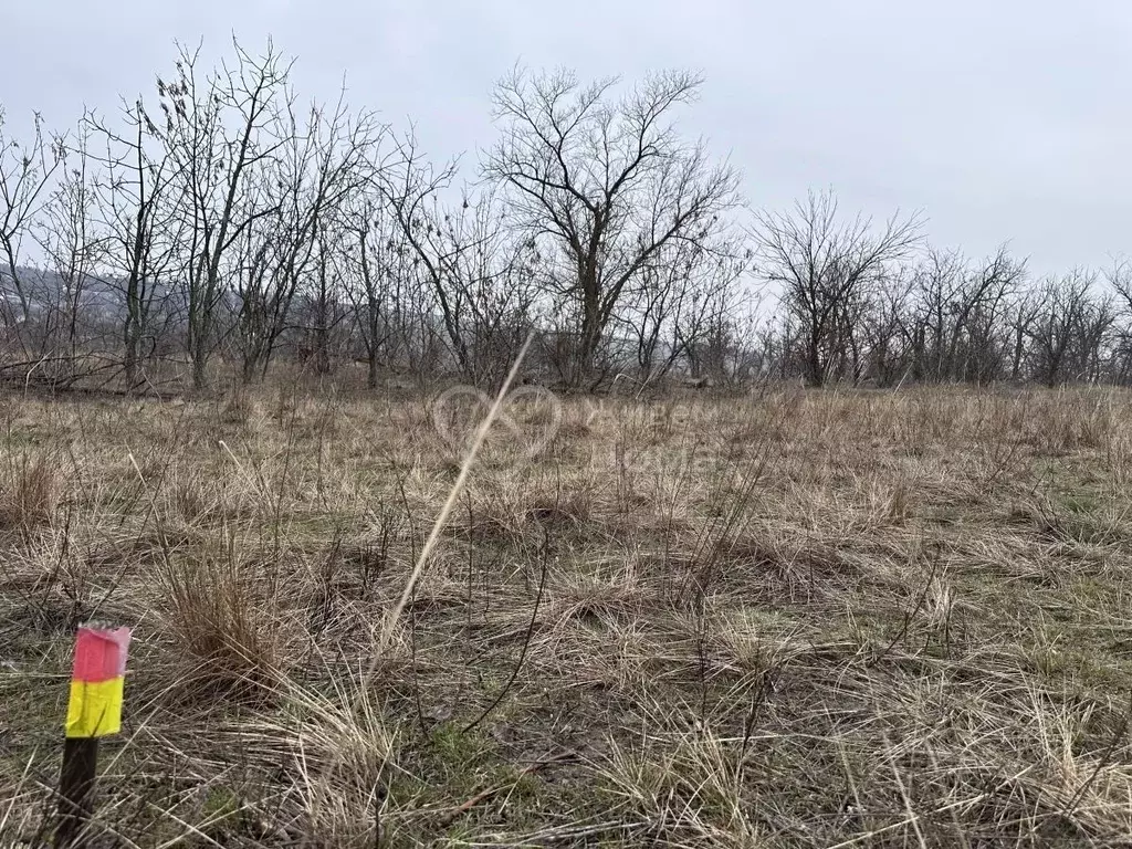 Участок в Волгоградская область, Городищенский район, Царицынское ... - Фото 2