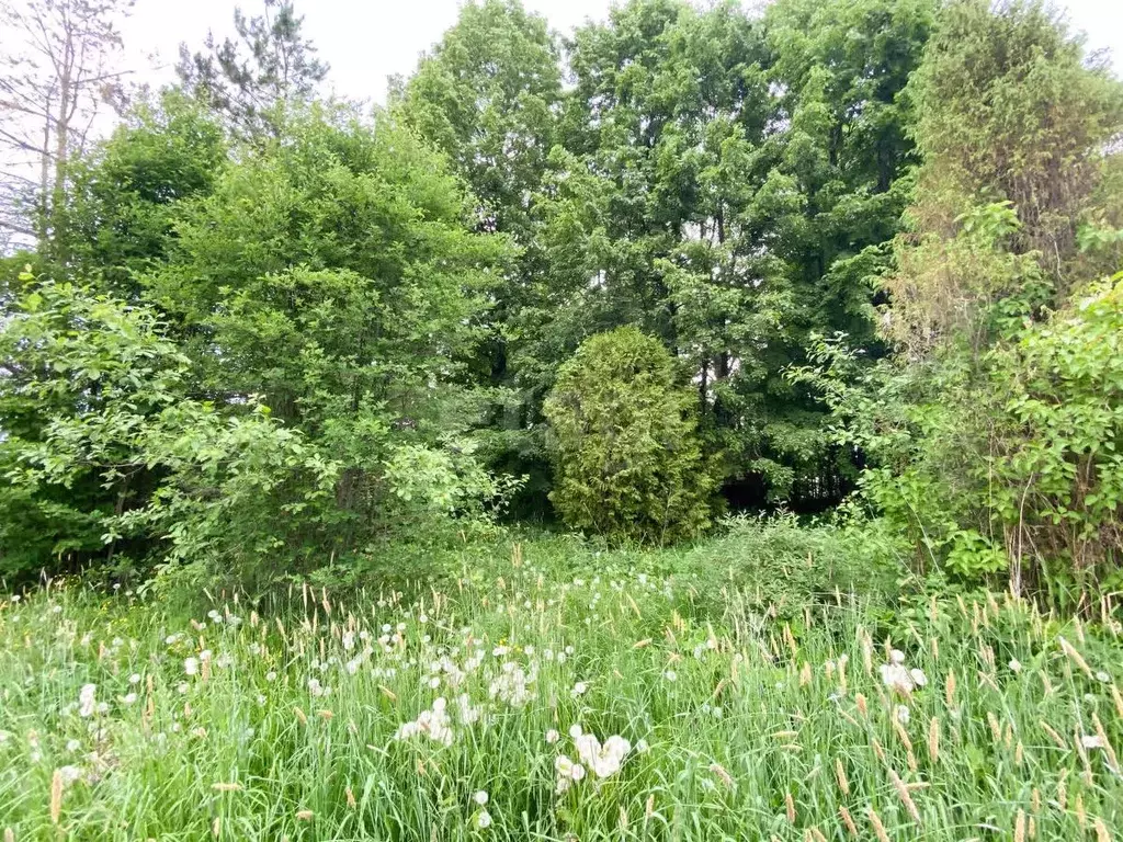 Участок в Ярославская область, Рыбинский муниципальный округ, д. ... - Фото 1