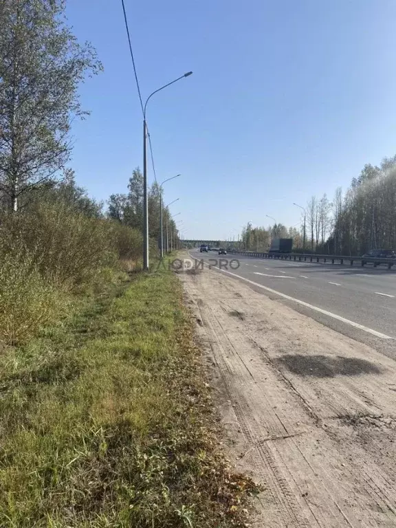 Участок в Ярославская область, Ярославский муниципальный округ, ... - Фото 2