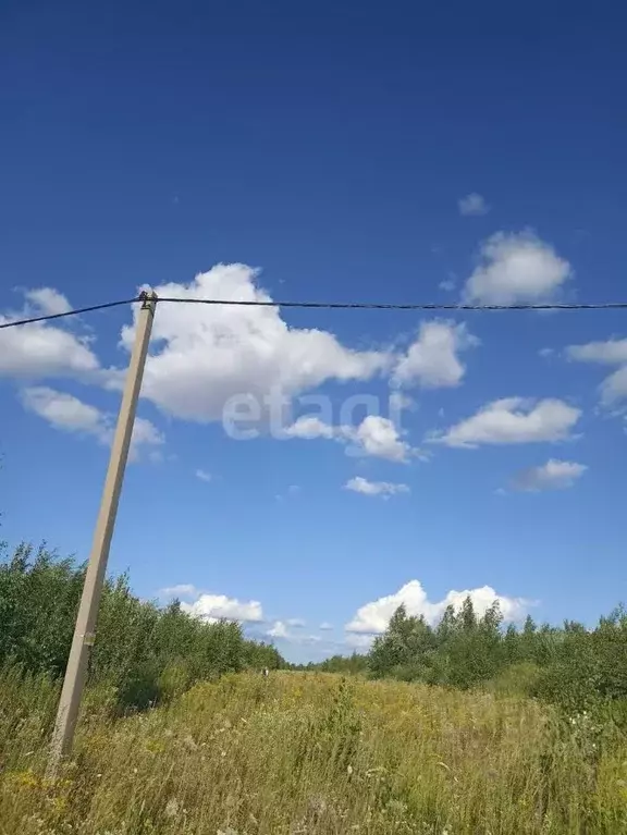 участок в нижегородская область, кстовский муниципальный округ, с. . - Фото 0