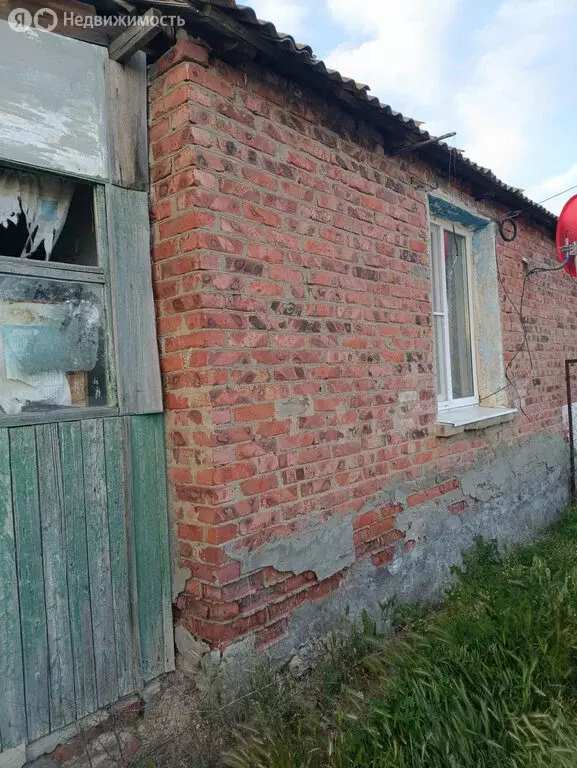 Дом в посёлок Аршан, улица Голубое Золото, 17 (49 м) - Фото 1