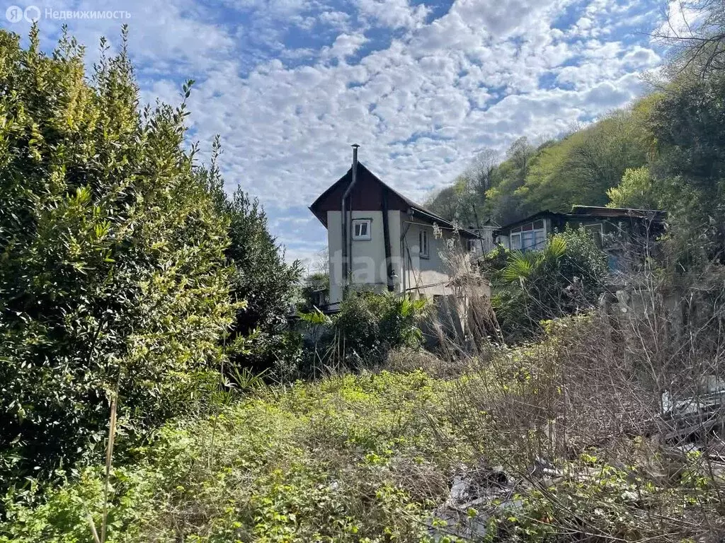 Участок в Хоста, Самшитовая улица (7 м) - Фото 1