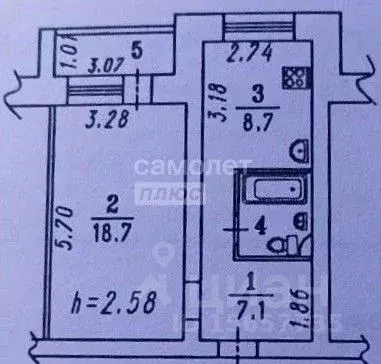 1-к кв. Омская область, Омск Торговая ул., 20 (41.0 м) - Фото 1