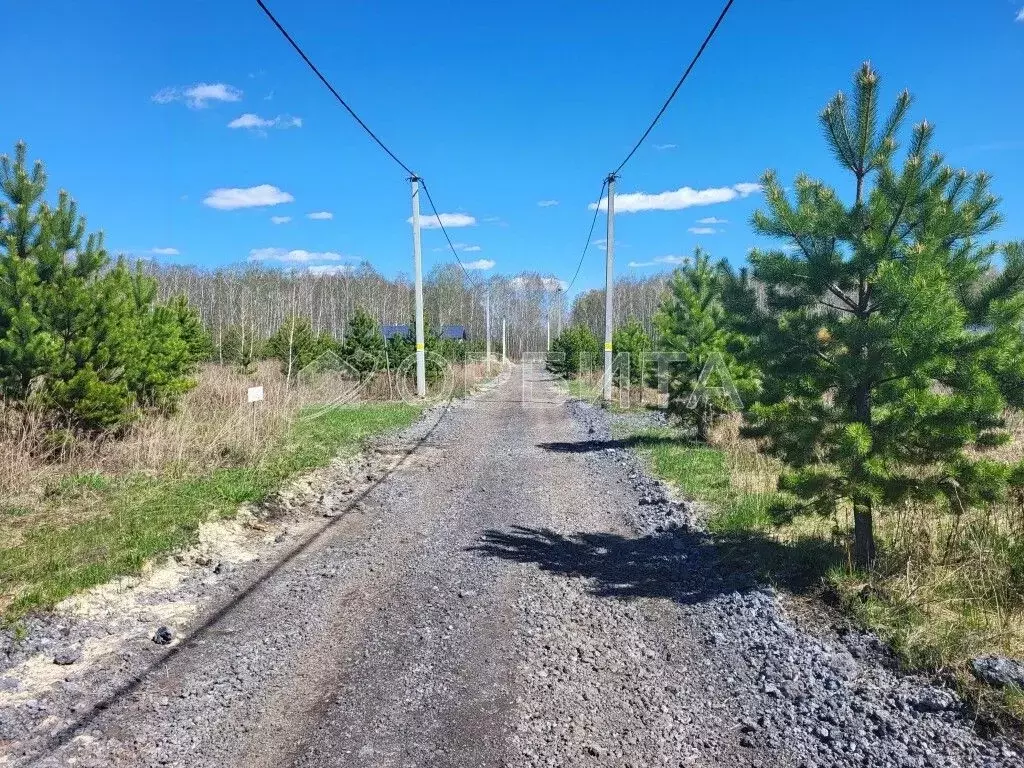 Участок в Тюменская область, Тюменский район, д. Елань ул. Сосновая ... - Фото 0