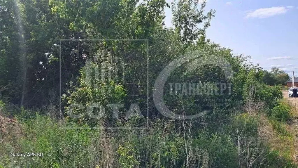 Участок в Воронежская область, Новоусманский район, с. Бабяково ... - Фото 0