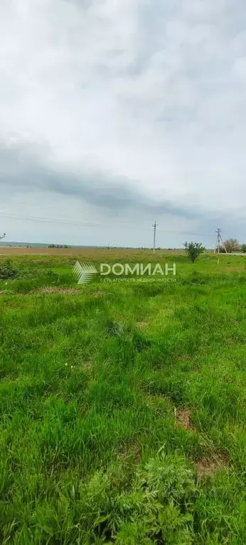 Участок в Ростовская область, Октябрьский район, Бессергеневское ... - Фото 1