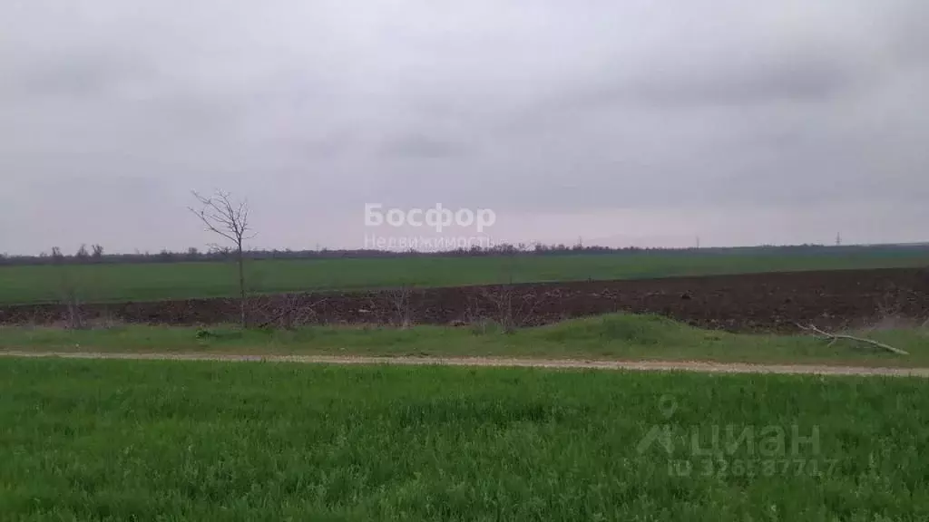 Участок в Крым, Кировский район, Журавское с/пос, с. Видное ул. ... - Фото 1