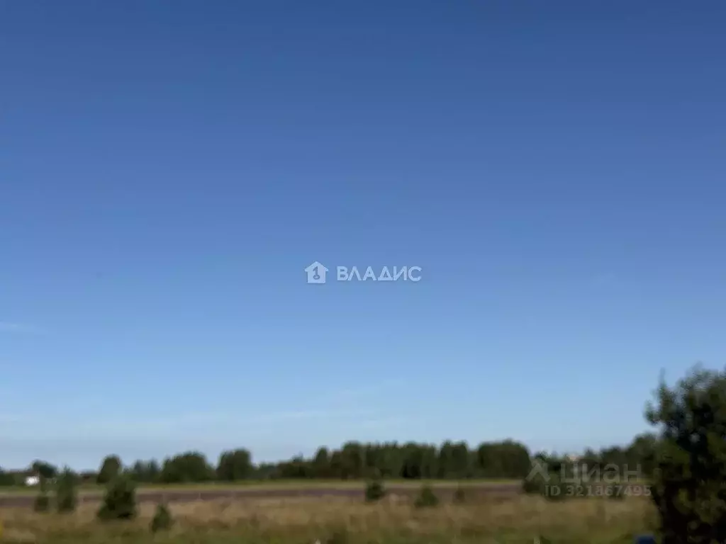 Участок в Владимирская область, Ковровский район, Доброград ... - Фото 2