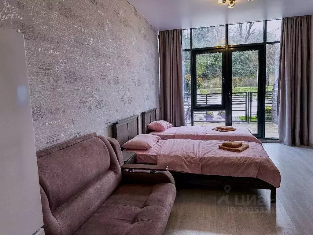 Студия Краснодарский край, Сочи ул. Полтавская, 3 (27.0 м) - Фото 1