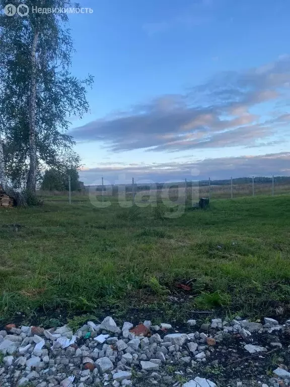 Участок в Кемеровский муниципальный округ, село Берёзово (15 м) - Фото 1