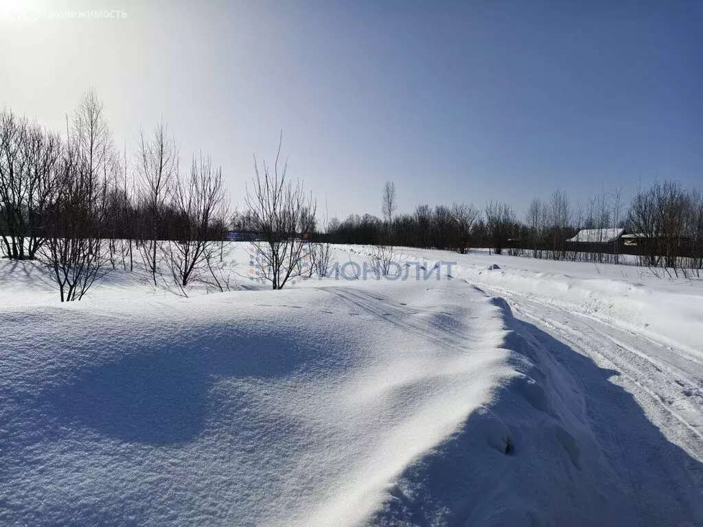 Участок в городской округ Нижний Новгород, деревня Новопавловка (50 м) - Фото 2