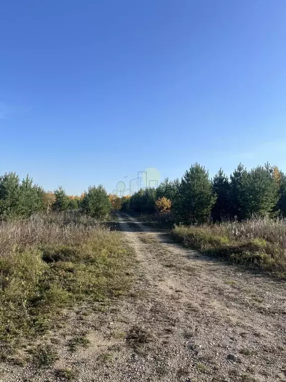 Участок в Иркутская область, Иркутский муниципальный округ, д. ... - Фото 1