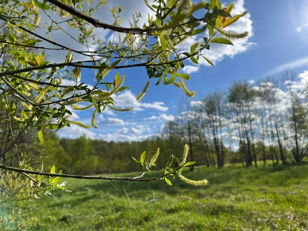 Участок в Московская область, Серпухов городской округ, пос. Оболенск ... - Фото 1