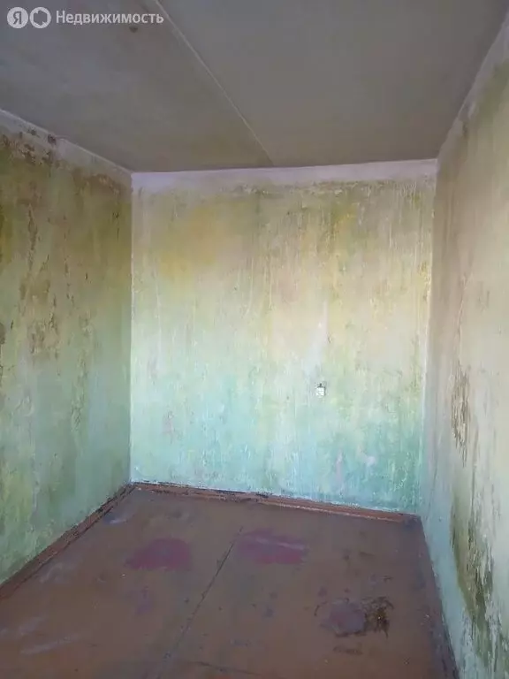 3-комнатная квартира: Пермь, улица Героев Хасана, 21 (56.5 м) - Фото 2