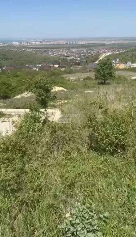 Участок в Краснодарский край, Анапа муниципальный округ, с. Супсех ул. ... - Фото 2