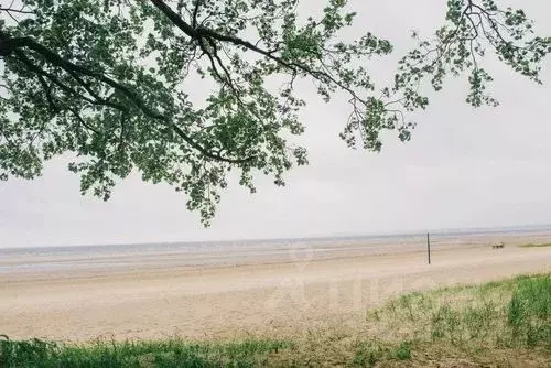 Участок в Санкт-Петербург, Санкт-Петербург, Сестрорецк Курортная ул., ... - Фото 1