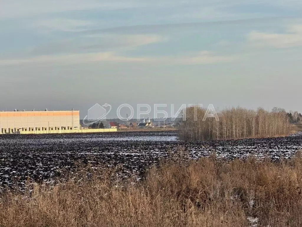 Участок в Тюменская область, Тюменский муниципальный округ, с. Успенка ... - Фото 1
