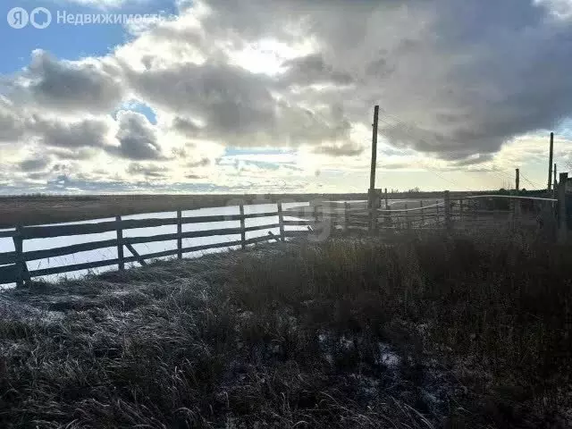 Участок в Республика Саха (Якутия), городской округ Якутск, село ... - Фото 2