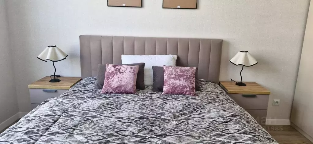 1-к кв. Санкт-Петербург пос. Шушары, ул. Нины Петровой, 8к2 (40.0 м) - Фото 1