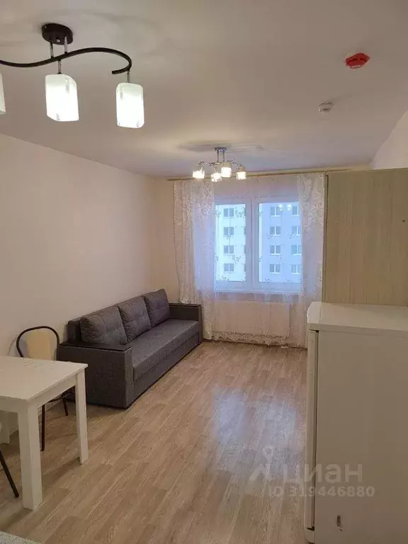 Студия Санкт-Петербург дор. Муринская, 25к3 (21.7 м) - Фото 1