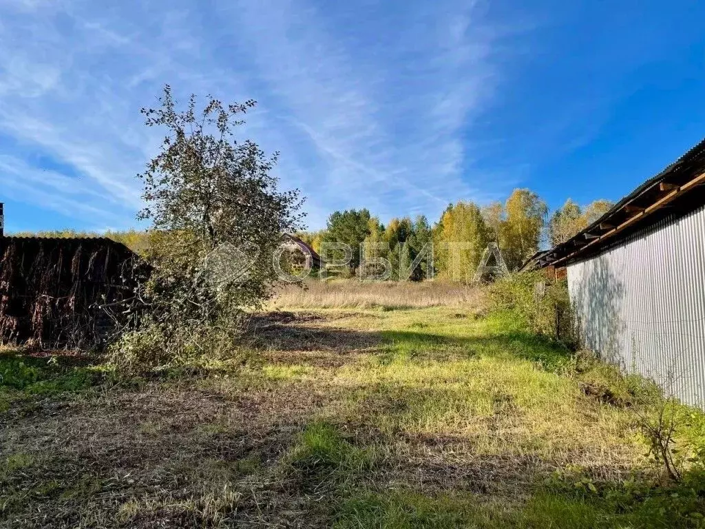 Участок в Тюменская область, Тюменский муниципальный округ, с. Кулига  ... - Фото 1