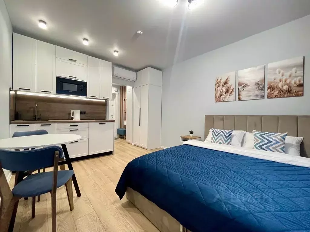 Студия Москва ул. Трехполье, 6к1 (20.0 м) - Фото 1