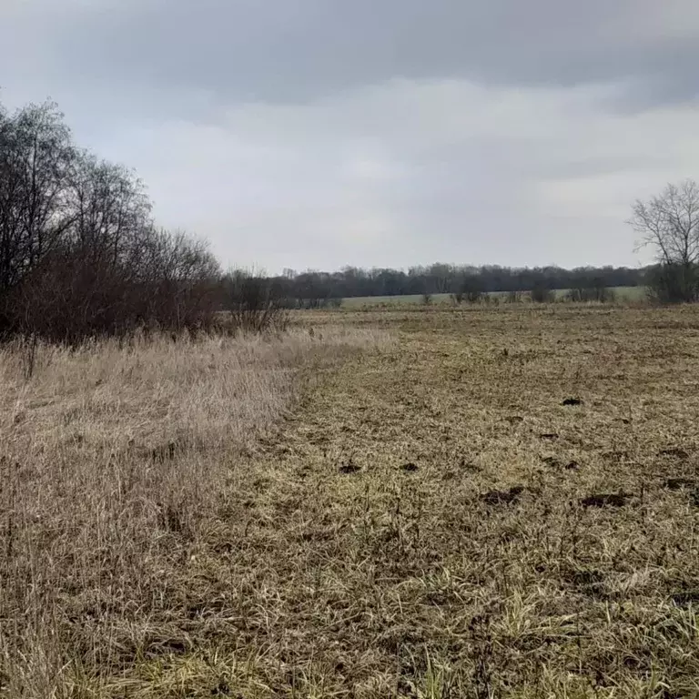 Участок в Ленинградская область, Ломоносовский район, Виллозское ... - Фото 1